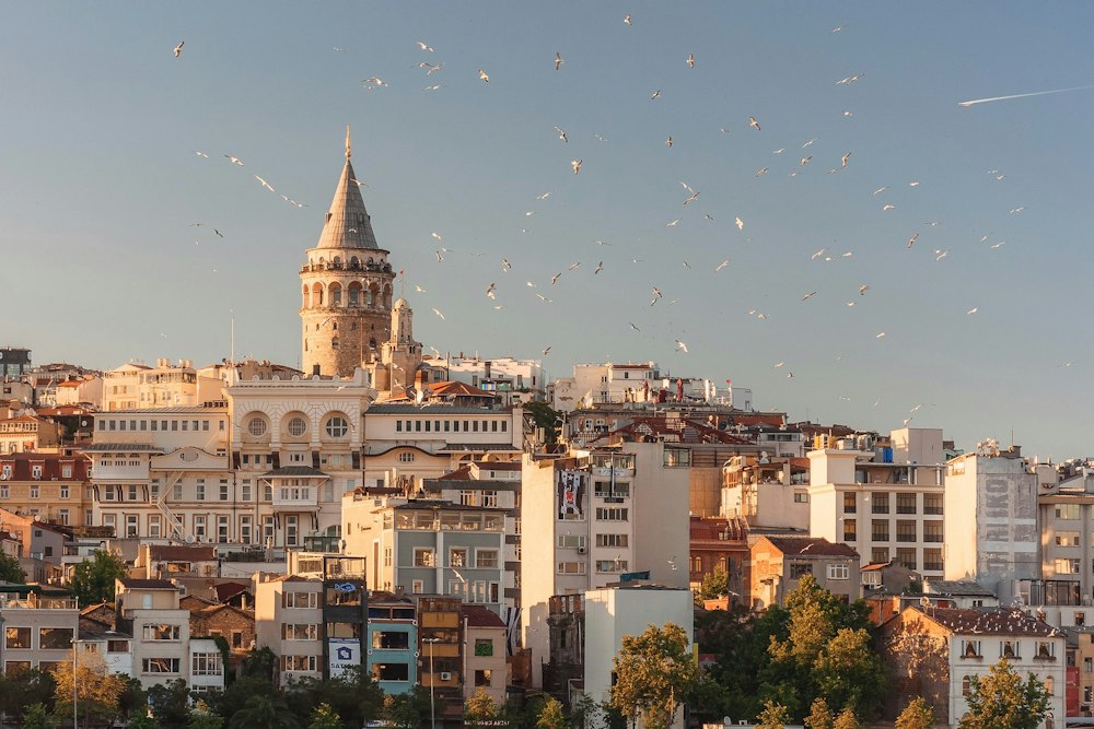 Turkey Tour — Ancient Wonders